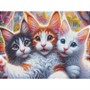Набор для творчества Алмазная мозаика 30х40см Селфи котят мейн-кунов НД-0876 - фото 47067927