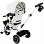 Велосипед трехколесный Dvizhok белый FG240528299L-1 колеса прорезиненные 10"/8" поворот.сидение - фото 47070817 Велосипед трехколесный Dvizhok белый FG240528299L-1 колеса прорезиненные 10"/8" поворот.сидение - фото 47070817
