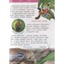 Книга 978-5-353-08917-9 Джунгли.Энциклопедия детского сада - фото 47076252