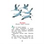 Книга 978-5-353-11133-7 Пришвин М. Рассказы о природе (ВЧ) - фото 47077008
