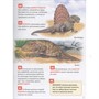 Книга 978-5-353-11006-4 Динозавры. Энциклопедия российского школьника - фото 47077759