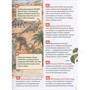 Книга 978-5-353-11006-4 Динозавры. Энциклопедия российского школьника - фото 47077760