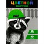Картон цветной 10 л 10 цвет. Енот в шапочке 69973 - фото 47083319