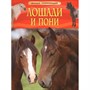 Книга 978-5-353-06899-0 Лошади и Пони. Детская энциклопедия - фото 47091827