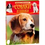 Книга 978-5-353-06913-3 Собаки и щенки.Детская энциклопедия - фото 47091828