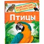 Книга 978-5-353-09340-4 Птицы.Энциклопедия для детского сада - фото 47092127