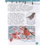 Книга 978-5-353-09340-4 Птицы.Энциклопедия для детского сада - фото 47092130