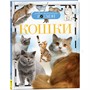 Книга энциклопедия 978-5-353-05808-3 Кошки (ДЭР) - фото 47092175