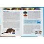 Книга энциклопедия 978-5-353-05808-3 Кошки (ДЭР) - фото 47092178