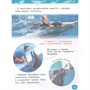Книга 978-5-353-10284-7 Акулы, киты и дельфины Энциклопедия для детского сада - фото 47092335