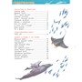 Книга 978-5-353-10284-7 Акулы, киты и дельфины Энциклопедия для детского сада - фото 47092338