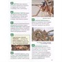 Книга 978-5-353-11011-8 Насекомые. Энциклопедия российского школьника - фото 47092642