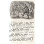 Книга 978-5-353-11367-6 Хрестоматия 1-4 класс. Лучшие рассказы о природе - фото 47092775