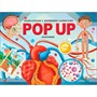 Книга 9785002301164 POP-UP энци POP-UP энциклопедия. Анатомия: книжка-панорамка (интегральная) - фото 47093147
