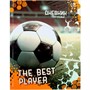 Дневник для 1-4 кл. 48л Футбол ЮНЛАНДИЯ 106826. - фото 47093330