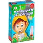 Набор Японские опыты Науки с Буки Bondibon Наблюдаем за погодой 196450 - фото 48783053