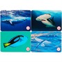 Игра настольная  Умка Морские животные.Мемо 4680013719944 - фото 49492826