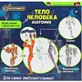 Набор Опыты тело человека IQ Эксперимент A365-H24040-R - фото 54343013