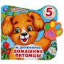 Книга Умка 9785506028635 Домашние питомцы.М.Дружинина.Говорящая лапка 5 песен - фото 55493896