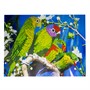 Набор для творчества Алмазная мозаика Попугай 40*50см частичная выкладка 87221 - фото 60837128