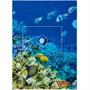 Папка уголок А4 SEA WORLD 228042 BRAUBERG - фото 62759785