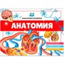 Книга 9785001345404 3D энциклопедия панорама. Анатомия от 26.07.2022 - фото 62764937