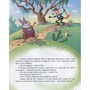 Книга 978-5-378-32272-5 Сказки Дядюшки Римуса - фото 62772432
