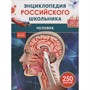 Книга 978-5-353-11012-5 Человек. Энциклопедия российского школьника - фото 62773759