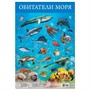 Плакат Обитатели моря 3410 - фото 62775925