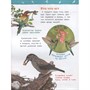 Книга 978-5-353-09340-4 Птицы.Энциклопедия для детского сада - фото 62776175