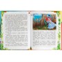 Книга Умка 9785506071563 Волшебные сказки. Г. Х. Андерсен. Библиотека детского сада /30/ - фото 62779903