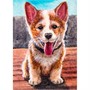Набор для творчества Алмазная мозаика 30х40 см Улыбчивый корги НД-8577 - фото 62782620