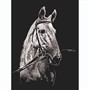 Набор для творчества Гравюра 18*24 см Лошадь серебро Гр-939 - фото 62811825