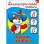 Пропись Каллиграфическая Пишем цифры А5 978-5-378-26405-6 - фото 62812048