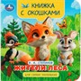 Книга Умка 9785506100584 Жители леса. Степанов В.А. Книжка с окошками для самых маленьких - фото 62816953