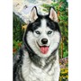 Набор для творчества Алмазная мозаика 22х32 см квадратная Портрет хаски НД-8554 - фото 68229223