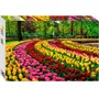 Пазл 500 Парк тюльпанов, Нидерланды 91020 Степ - фото 69751428