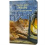 Блокнот пушистой нежности Там, где живет любовь. Кот на подоконнике с лампой 30 л 978-5-00241-358-4 - фото 69755733