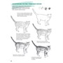 Скетчбук Создаем наброски животных и птиц шаг за шагом зебра белая 978-5-00141-321-9 - фото 69757011