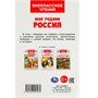 Книга Умка 9785506091462 Моя родина Россия. Внеклассное чтение - фото 69765209