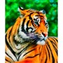 Набор для творчества Роспись по холсту 17х22 см Непредсказуемый тигр Х-3892 - фото 69766596
