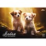 Альбом для рисования 40 л. А4 Лесные малыши С0021-01 - фото 69796827