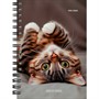 Записная книжка 120 л. А6 Милые котики - 6 ЗК120-3019 - фото 69797804