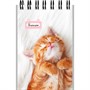 Блокнот 40 л. А7 Маленькие котята - 1 Б40-6384 ассорти - фото 69797830
