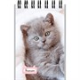 Блокнот 40 л. А7 Маленькие котята - 1 Б40-6384 ассорти - фото 69797831
