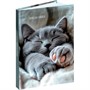 Записная книжка 160 л. А6 Милые котики - 9 ЗК160-0085 - фото 69797946
