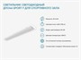 Светильник светодиодный ДПО46 Sport F для спортивного зала - фото 69801788