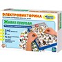 Игра Электровикторина Живая природа 02813 - фото 69862393
