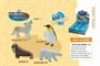 Конструктор 2666 Животные Севера в ассорт. 12 шт шоубокс - фото 69869543