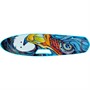 Скейтборд пластик 55 см 141V-780 колеса PU в асс. - фото 69870671